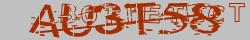 Retype the CAPTCHA code from the image