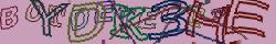 Retype the CAPTCHA code from the image