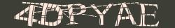 Retype the CAPTCHA code from the image