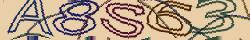 Retype the CAPTCHA code from the image