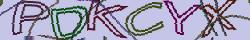 Retype the CAPTCHA code from the image