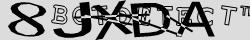 Retype the CAPTCHA code from the image