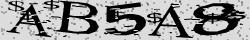 Retype the CAPTCHA code from the image