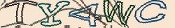 Retype the CAPTCHA code from the image