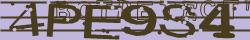 Retype the CAPTCHA code from the image