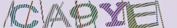 Retype the CAPTCHA code from the image