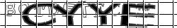 Retype the CAPTCHA code from the image