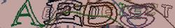Retype the CAPTCHA code from the image