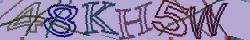Retype the CAPTCHA code from the image