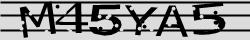 Retype the CAPTCHA code from the image