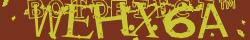 Retype the CAPTCHA code from the image