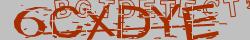Retype the CAPTCHA code from the image