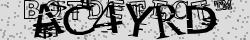Retype the CAPTCHA code from the image