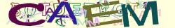Retype the CAPTCHA code from the image