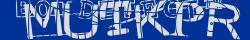 Retype the CAPTCHA code from the image