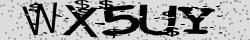 Retype the CAPTCHA code from the image