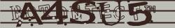 Retype the CAPTCHA code from the image