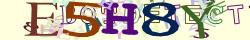 Retype the CAPTCHA code from the image