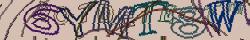 Retype the CAPTCHA code from the image