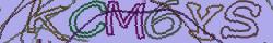 Retype the CAPTCHA code from the image