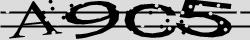 Retype the CAPTCHA code from the image