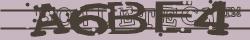 Retype the CAPTCHA code from the image