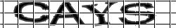 Retype the CAPTCHA code from the image