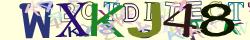 Retype the CAPTCHA code from the image
