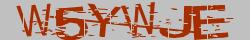 Retype the CAPTCHA code from the image