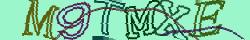 Retype the CAPTCHA code from the image
