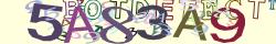 Retype the CAPTCHA code from the image