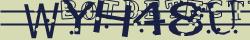 Retype the CAPTCHA code from the image